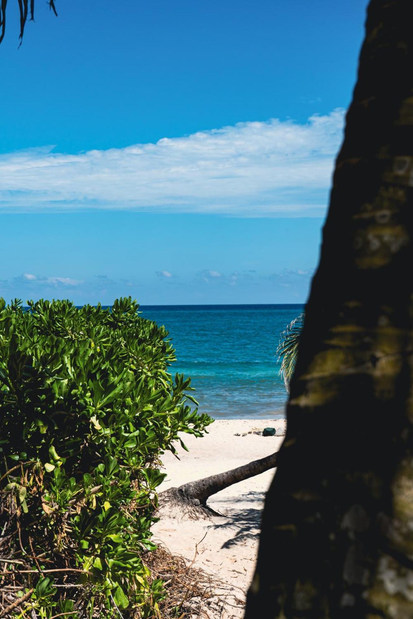 Tunich Jungle Cabanas Tulum Dış mekan fotoğraf